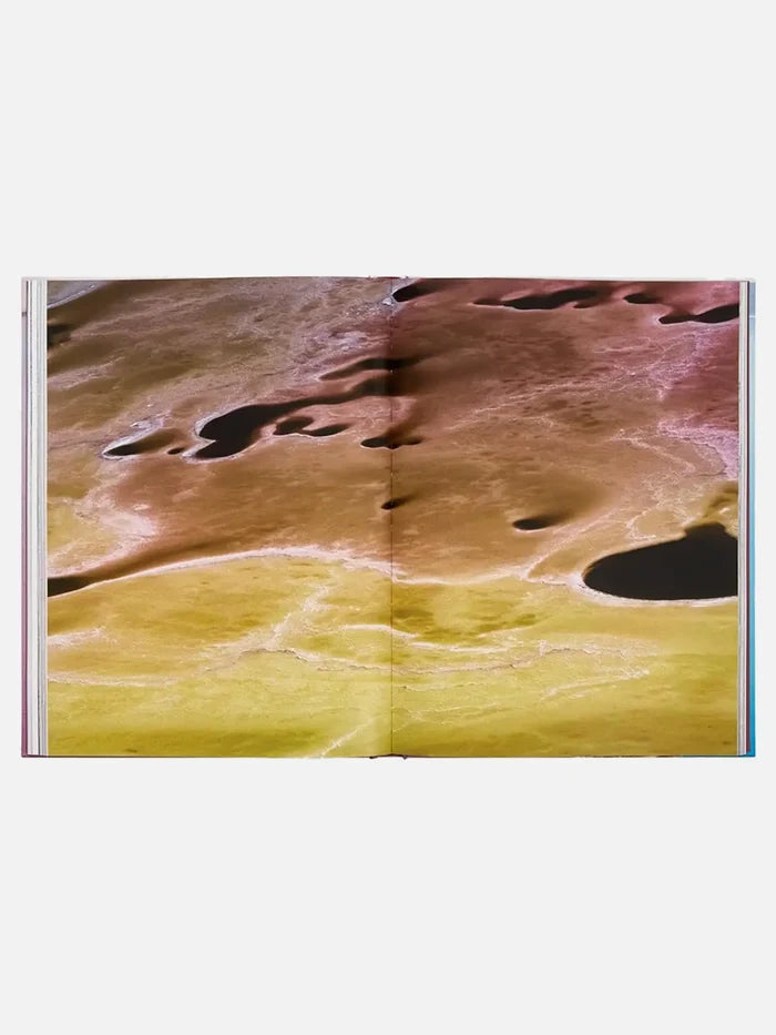 MONACELLI Entropy - Uncategorized KİTAP