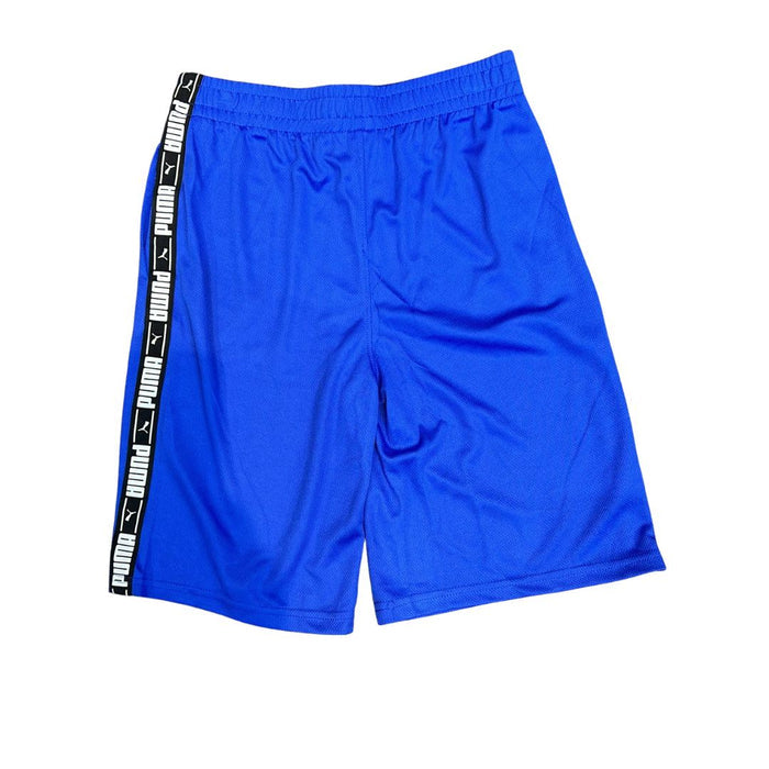 Puma Logo Lab Pack Mesh Short Royal Sapphire
