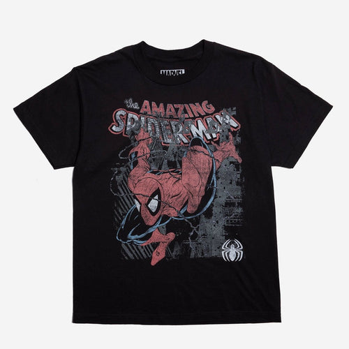 Amazing Spider-Man Forge Heavyweight Boxy Tee - Heroes & Villains-Marvel-T-Shirt