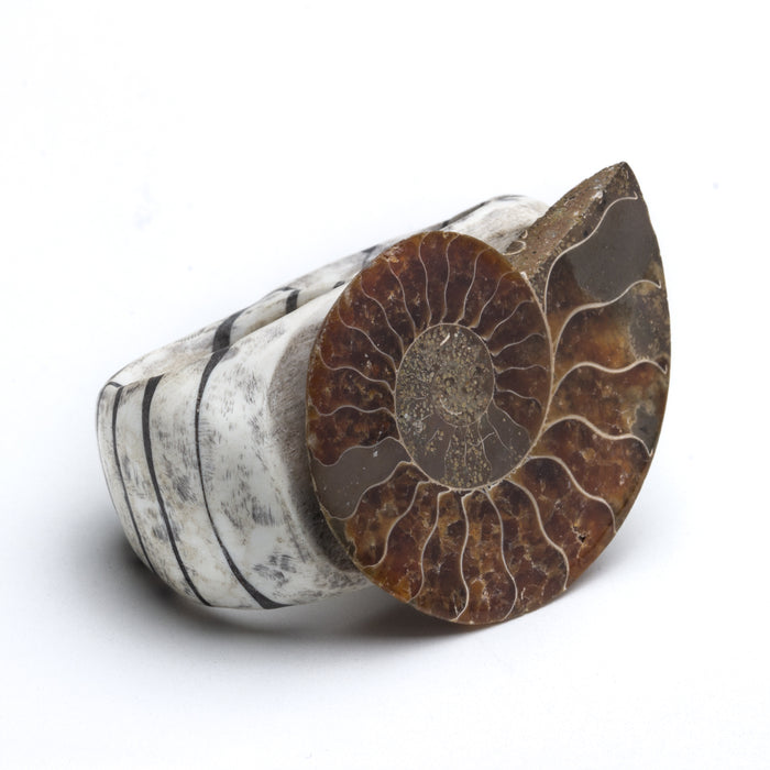 Amy Hsieh - Caveman Bling