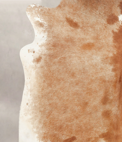 Brown and White Regular Cowhide Rug #B2398
