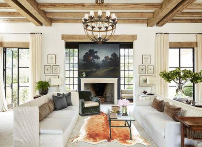 Brown and White Regular Cowhide Rug #B2398
