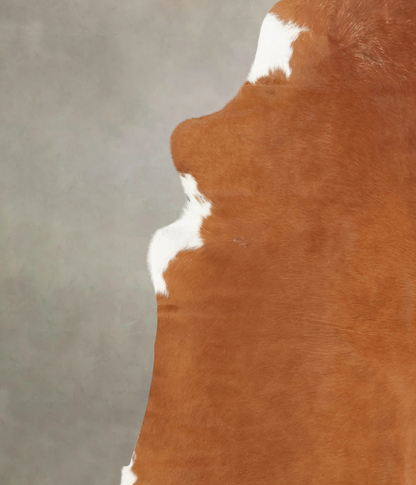 Brown and White Regular Cowhide Rug #B2391