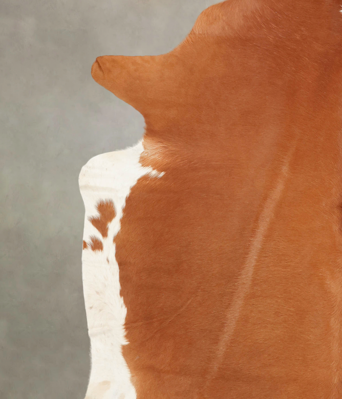 Brown and White Regular Cowhide Rug #B3018
