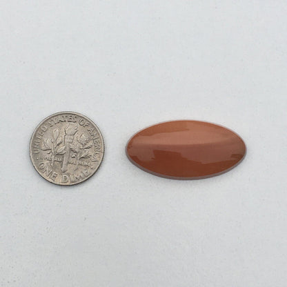 Bruneau Jasper