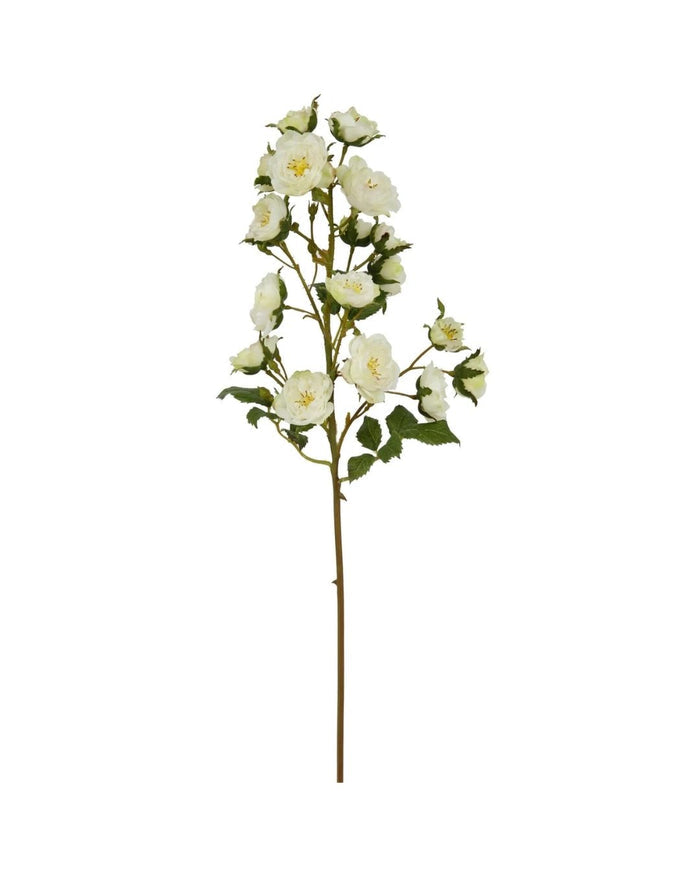 Cream Rose Pick