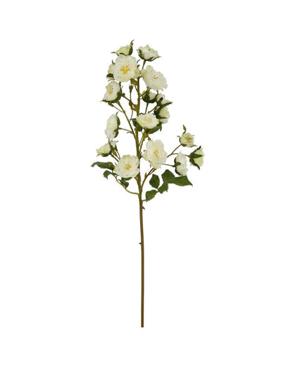 Cream Rose Pick