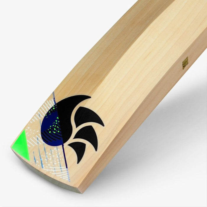 DSC Spliit 100 - EW. Cricket Bats
