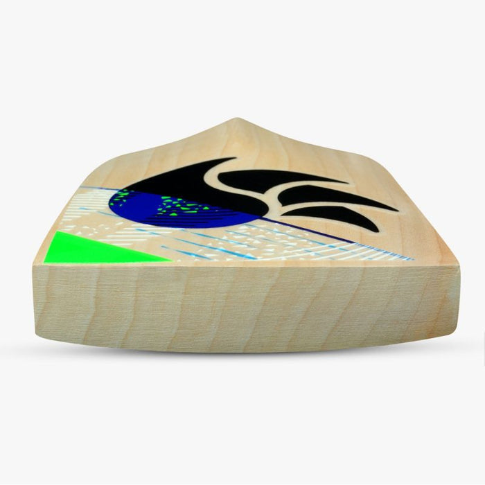 DSC Spliit 100 - EW. Cricket Bats