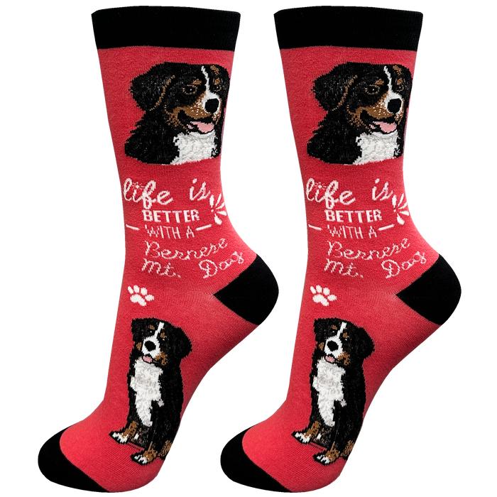 Life is Better Socks Bernese Mt. Dog