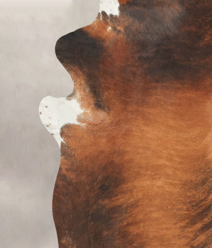 Medium Brindle Cowhide Rug #B3022