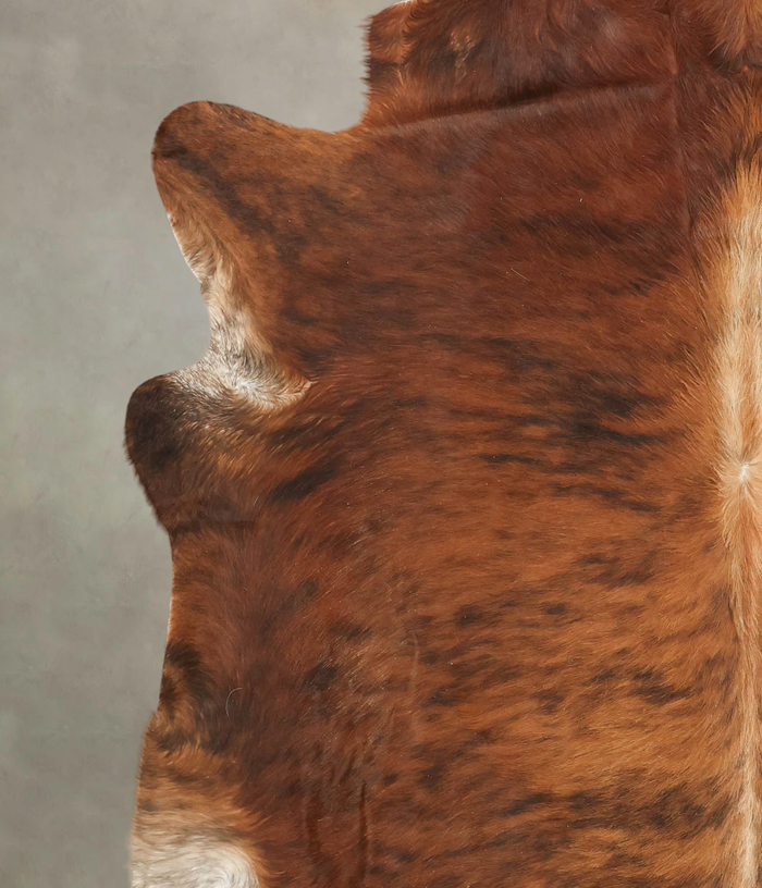 Medium Brindle Cowhide Rug #B2840