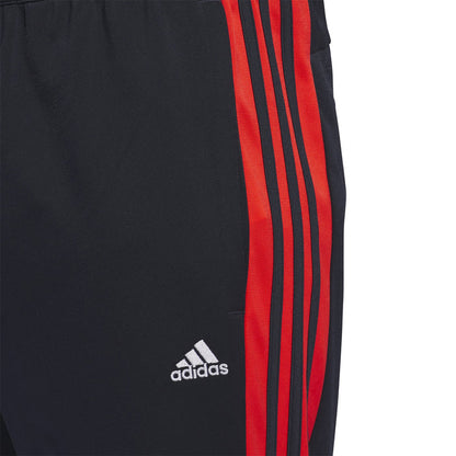 Adidas Men CB Jogger TB Tri Legink IT0556