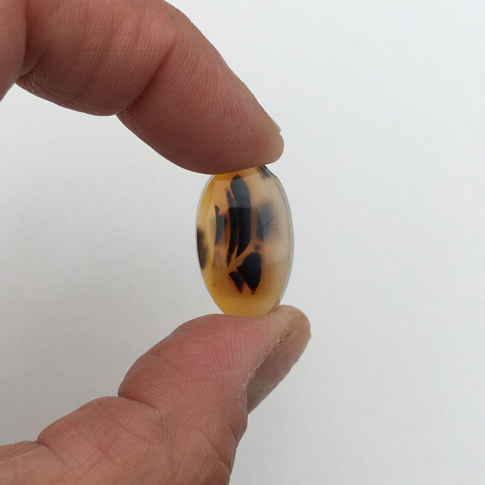 Montana Agate