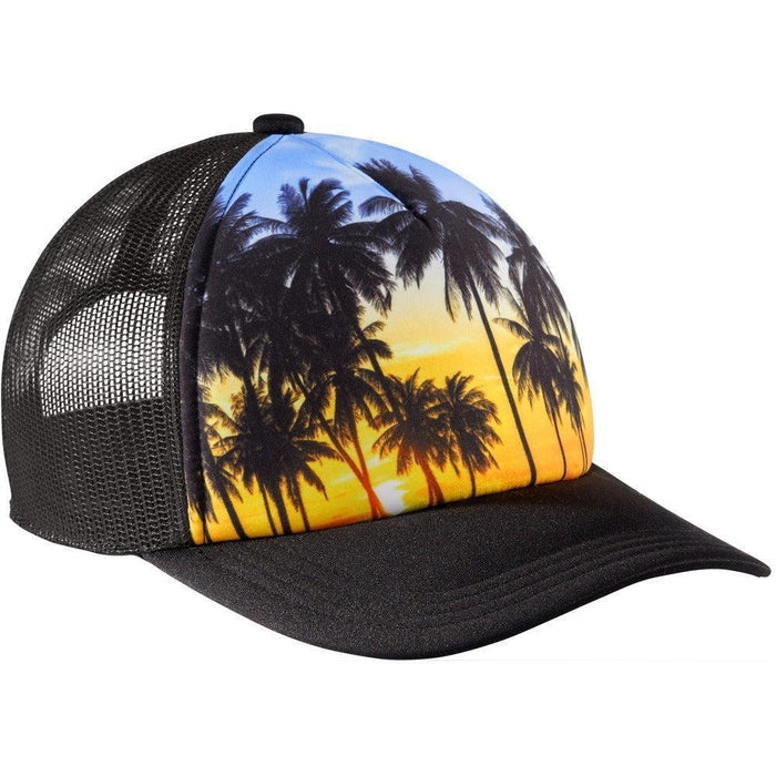 Palm Trees / OSFA