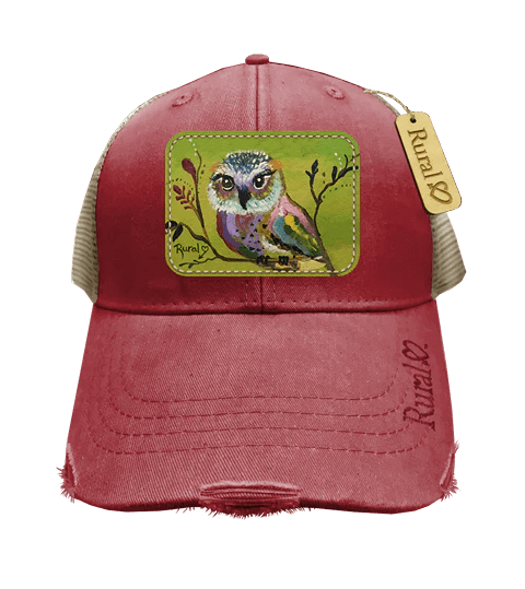 Owl
