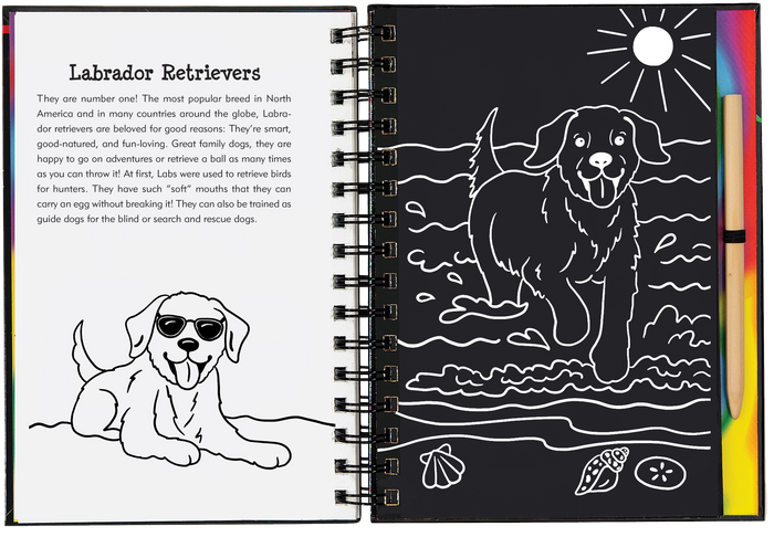Scratch & Sketch™ Puppies