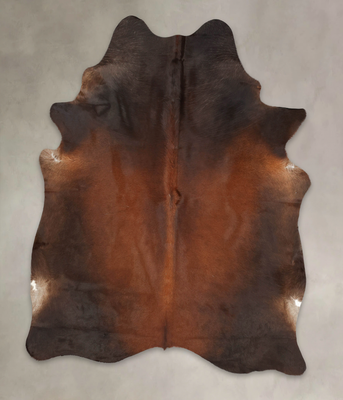 Brown with Red Cowhide Rug #B2631