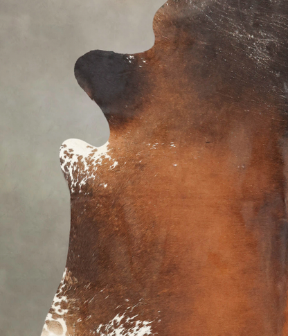Brown with Red Cowhide Rug #B2646